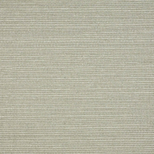 Le Martino Silver Brunia Type 2 SILVER BRUNIA Memo Sample | Phillipe Romano