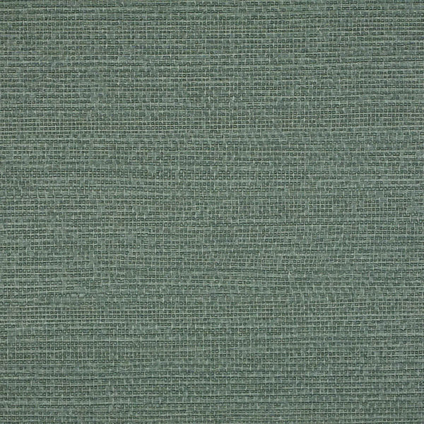 Le Martino Succulent Wallpaper | Phillipe Romano