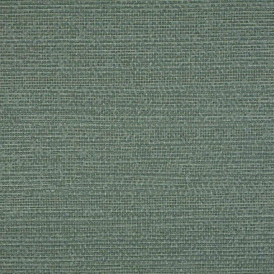 Le Martino Succulent Wallpaper | Phillipe Romano