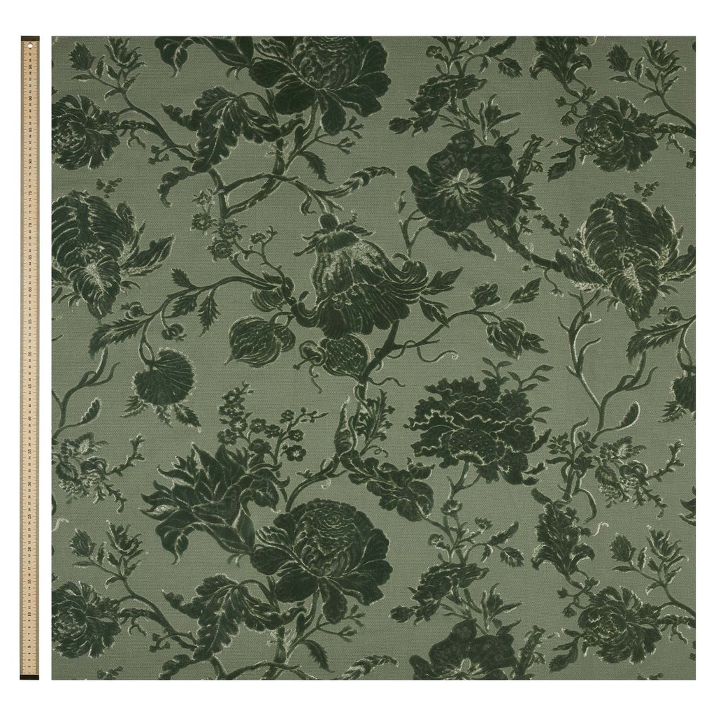 Artemis Velvet Eucalyptus, Yard