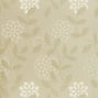 Barafundle, Metallic Champagne