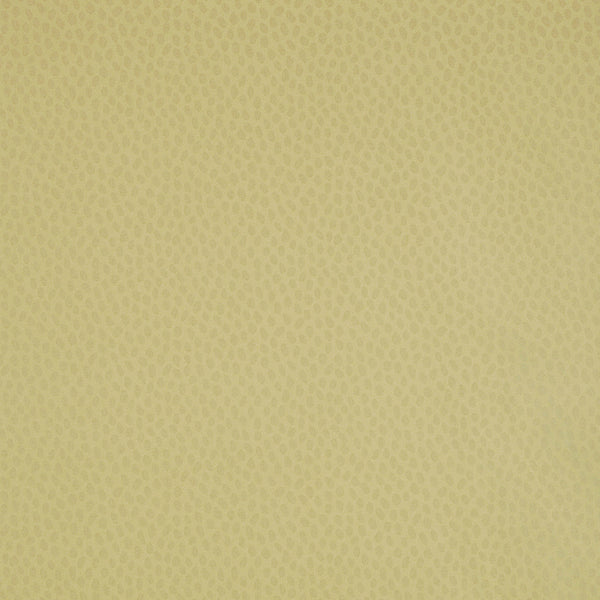 Spot on, Pale Olive Wallcoverings | Thibaut