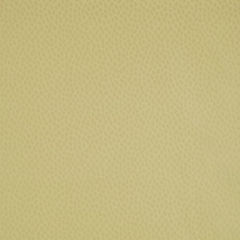 Spot on, Pale Olive