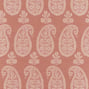 Campania Paisley, Coral