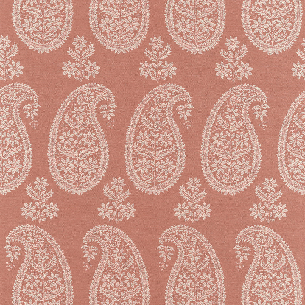 Campania Paisley, Coral