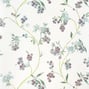 Edo Bloom, Lavender on Pearl