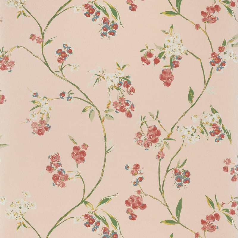 Edo Bloom, Blush on Pearl