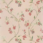 Edo Bloom, Blush on Pearl