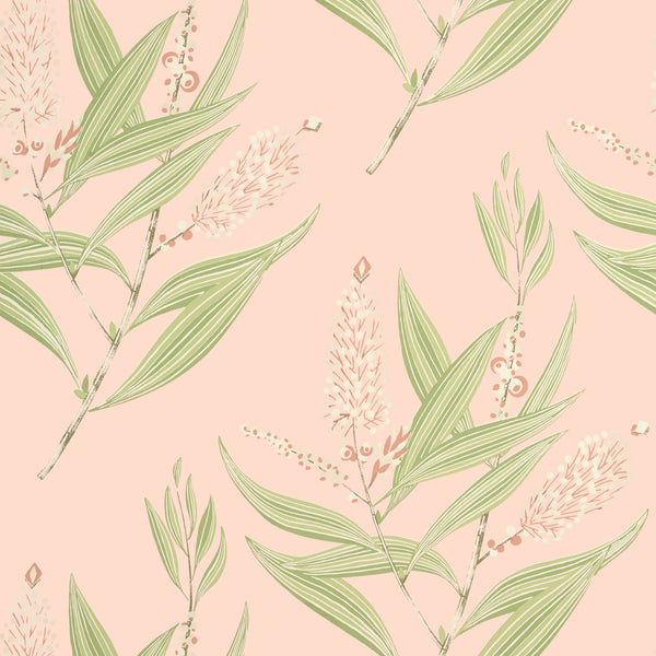 Winter Bud, Blush Wallcoverings | Thibaut