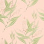 Winter Bud, Blush