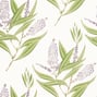 Winter Bud, Lavender