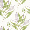 Winter Bud, Lavender