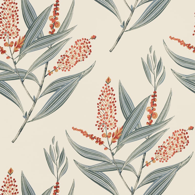 Winter Bud, Coral