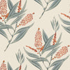Winter Bud, Coral