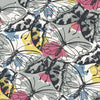 Kinetic | Anna French Wallcovering | Anna French Wallcovering
