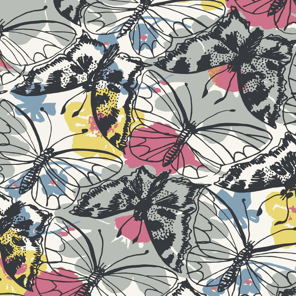 Paxton, Multi Wallcoverings | Thibaut