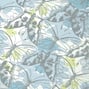 Paxton, Soft Blue