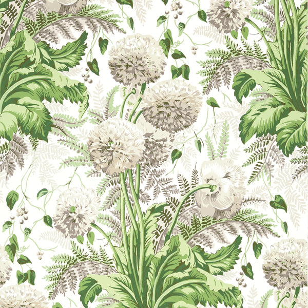 Dahlia - Spring on White Wallcovering | Anna French
