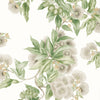 CAMELLIA GARDEN (AT24551) | Designer Wallcoverings | Anna French Wallcovering