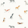 BUDDY WALLPAPER | Anna French Wallcovering