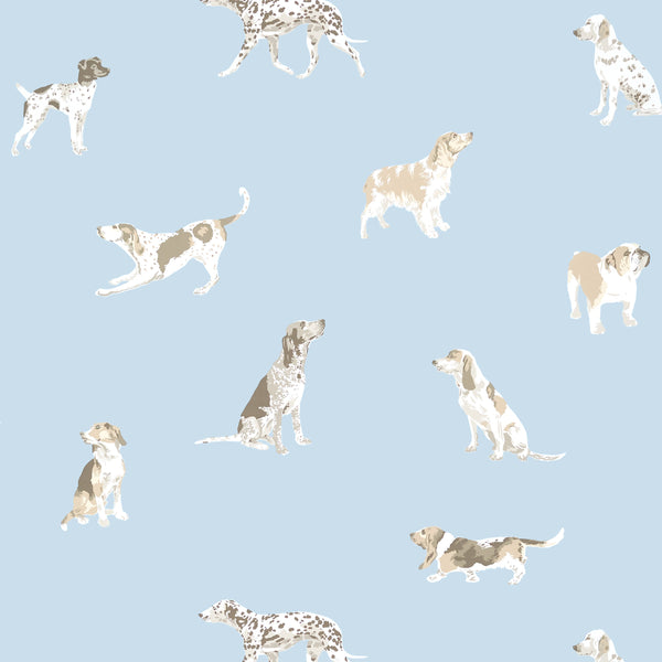 Buddy - Light Blue Wallcovering | Anna French