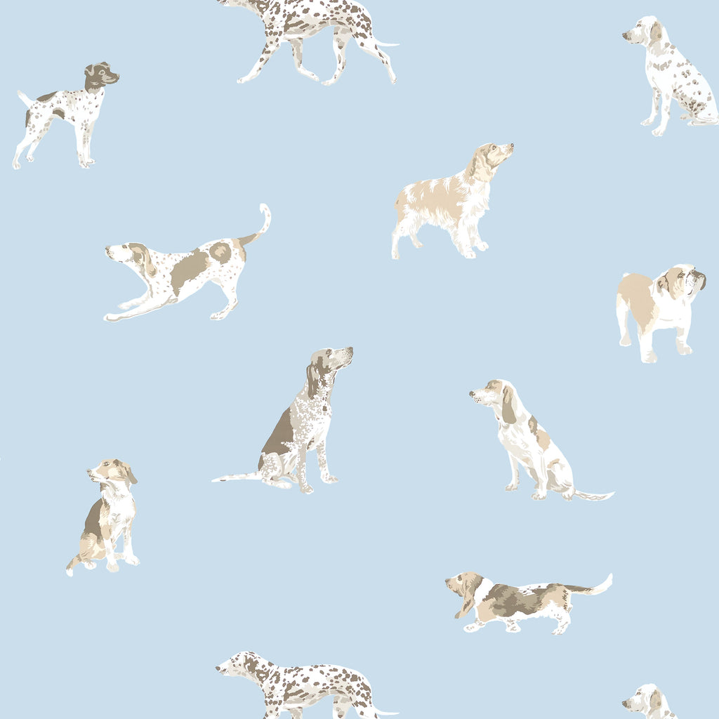 BUDDY WALLPAPER | Anna French Wallcovering