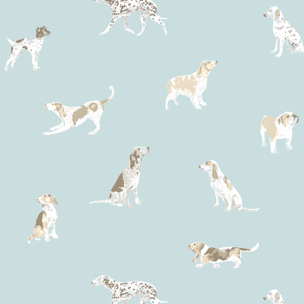 Buddy - Robin's Egg Wallcovering | Anna French