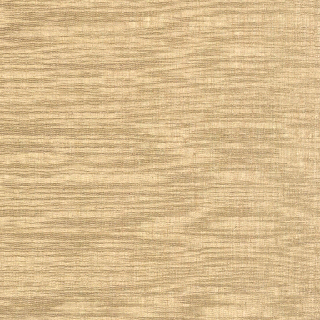 Cholla Sisal | Anna French Wallcovering | Anna French Wallcovering