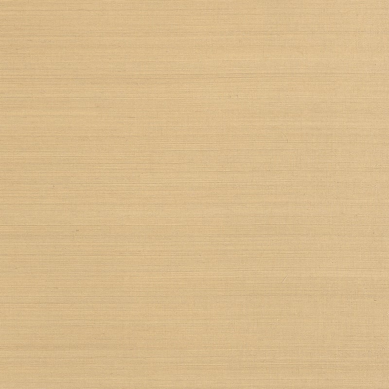 Cholla Sisal, Sand