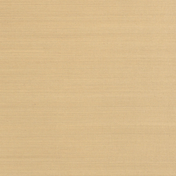 Cholla Sisal, Sand Wallcoverings | Thibaut