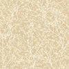 Zola | Anna French Wallcovering | Anna French Wallcovering