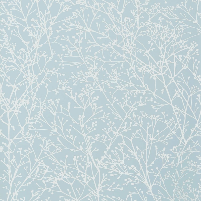 Zola, Pale Blue
