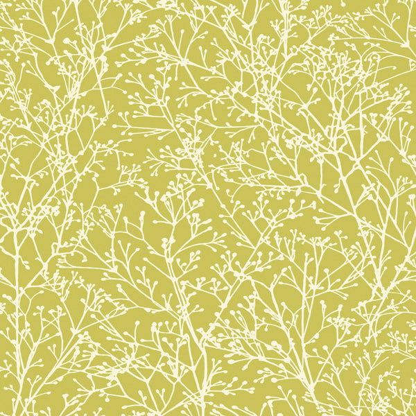 Zola Wallcovering | Anna French