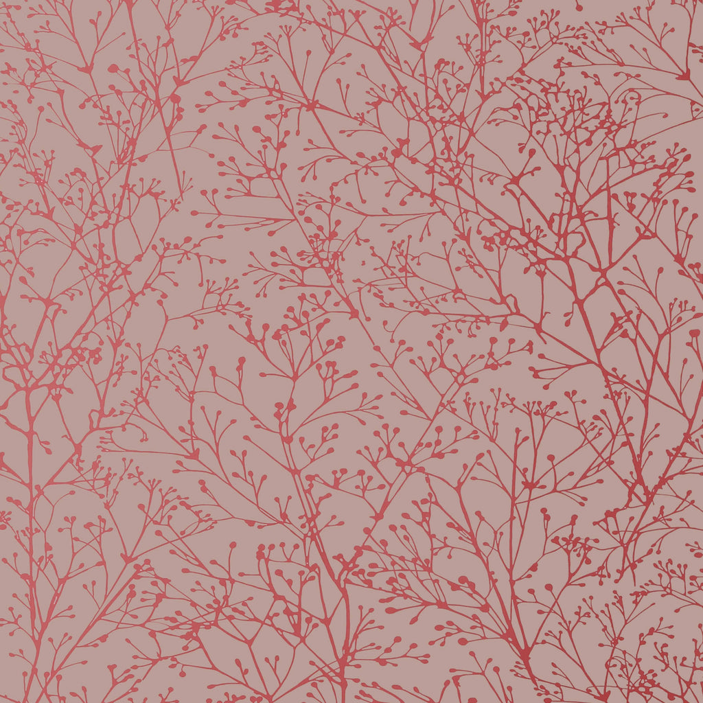Zola | Anna French Wallcovering | Anna French Wallcovering