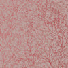 Zola, Pink on Grey