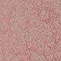 Zola, Pink on Grey