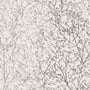 Zola, Silver on White