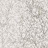 Zola, Silver on White