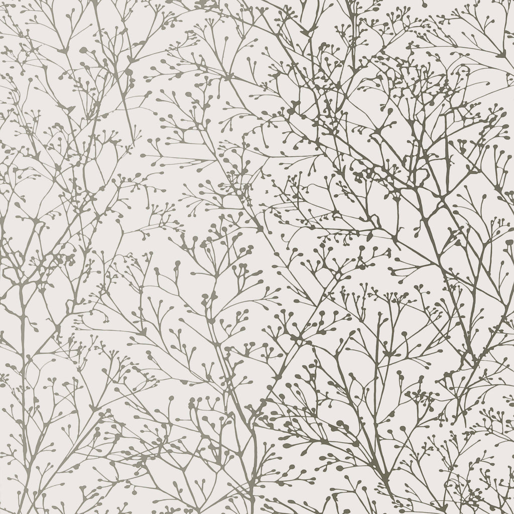 Zola, Silver on White