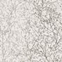 Zola, Silver on White