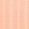 Cantal, Pink
