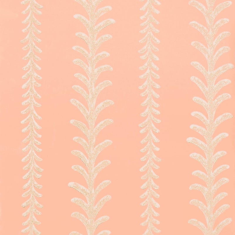 Cantal, Pink