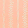 Cantal, Pink