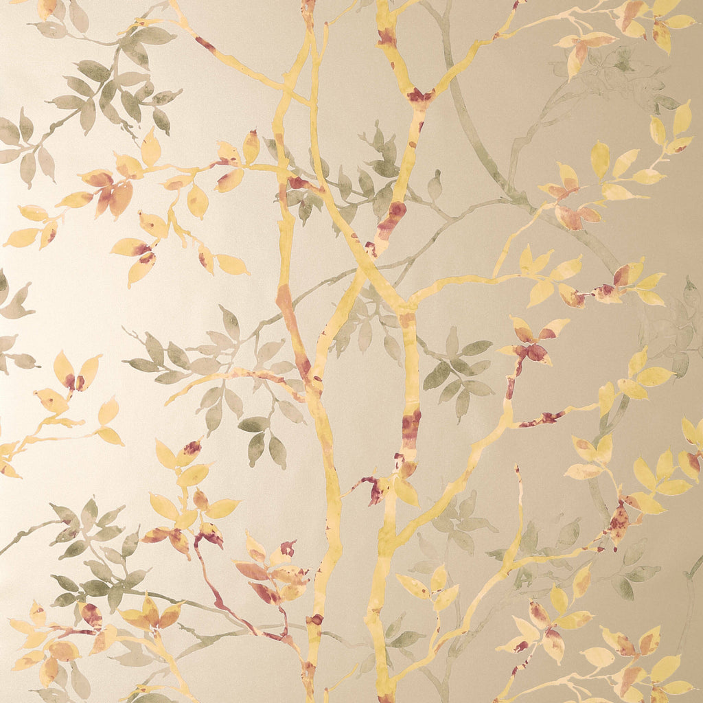 Tyndall Wallpaper | Anna French Wallpaper | Anna French Wallcovering