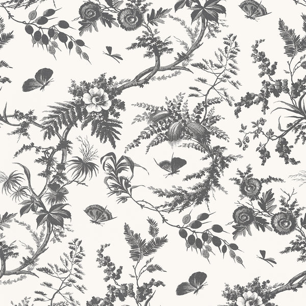 Newlands Toile, Black Wallcoverings | Thibaut