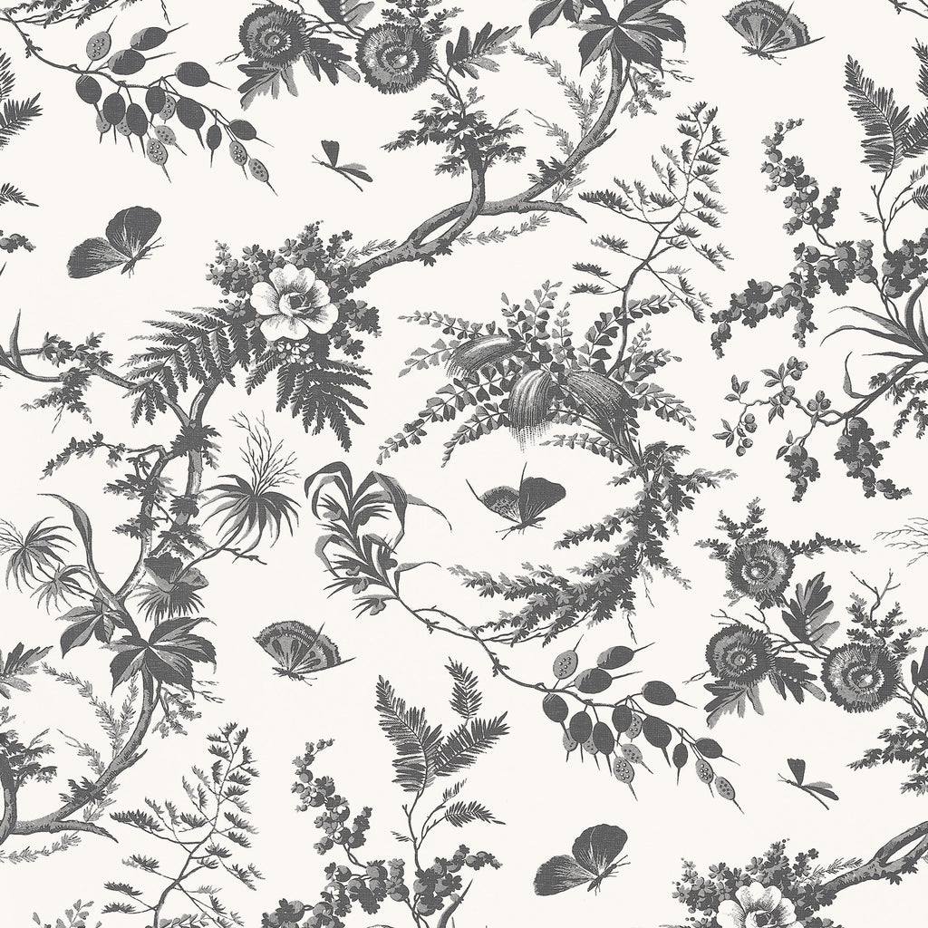 Newlands Toile, Black