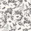 Newlands Toile, Black
