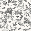 Newlands Toile, Black