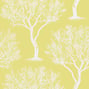 Winfell Forest, Citron