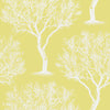Winfell Forest, Citron